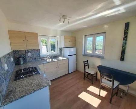 Jinki House Tatil Evi *